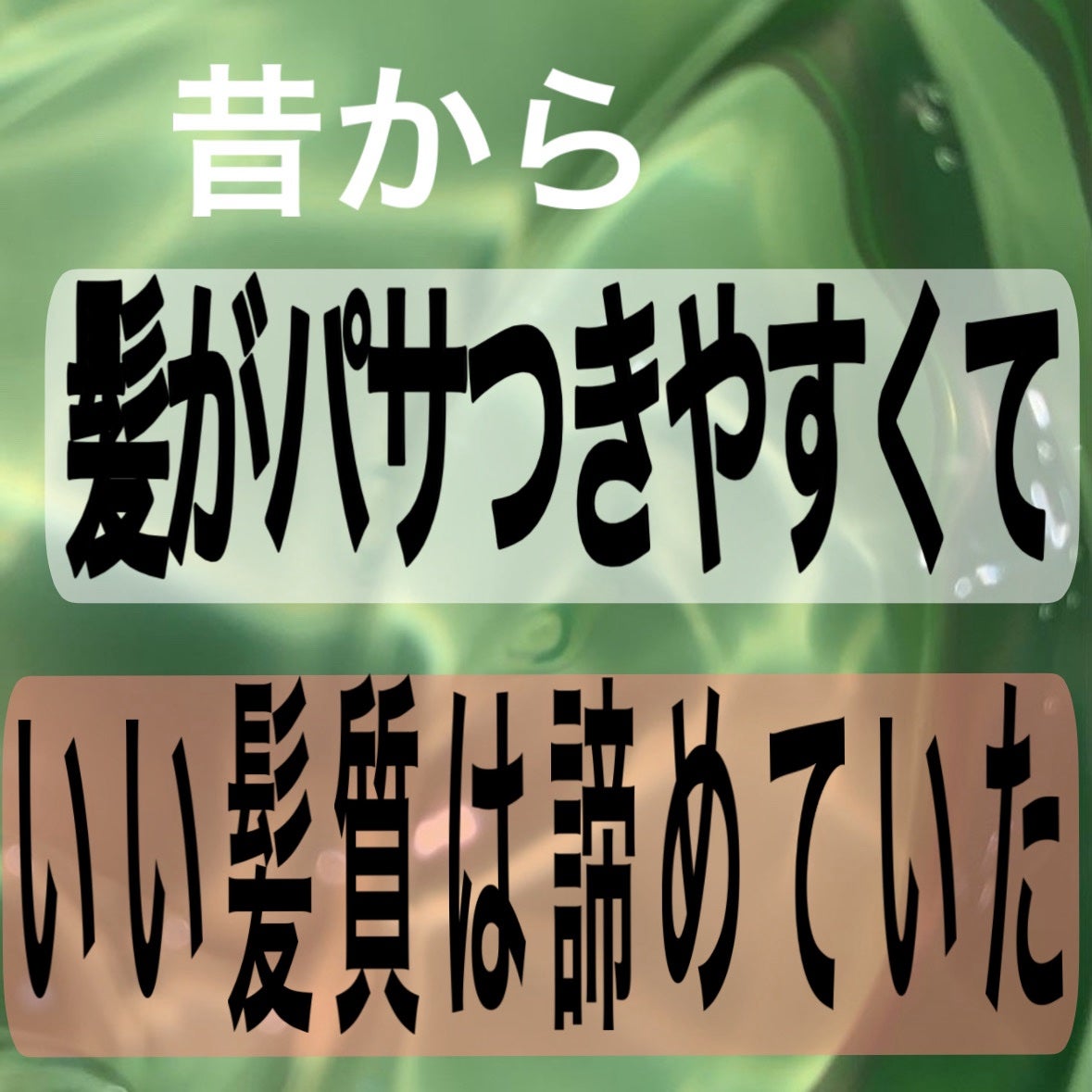 クレンジングシャンプー/ナノサプリ/市販シャンプーを使ったクチコミ(2枚目)