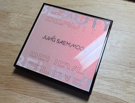 アーティストアイパレット/JUNG SAEM MOOL/アイシャドウパレットを使ったクチコミ(3枚目)