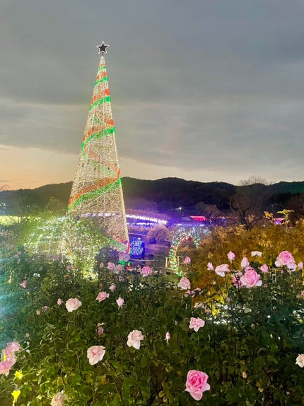 ピー on LIPS 「#栃木県✼••┈┈••✼••┈┈••✼••┈┈••✼••#あし..」(4枚目)