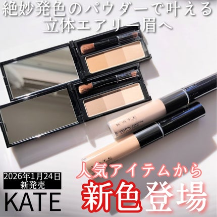 ケイト デザイニングアイブロウ3D/KATE/パウダーアイブロウを使ったクチコミ(1枚目)