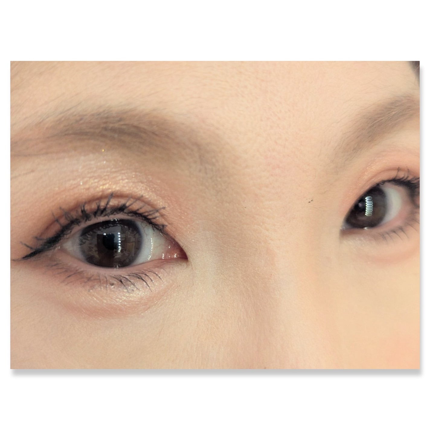 グラデーション アイシャドウ/ちふれ/アイシャドウパレットを使ったクチコミ(2枚目)