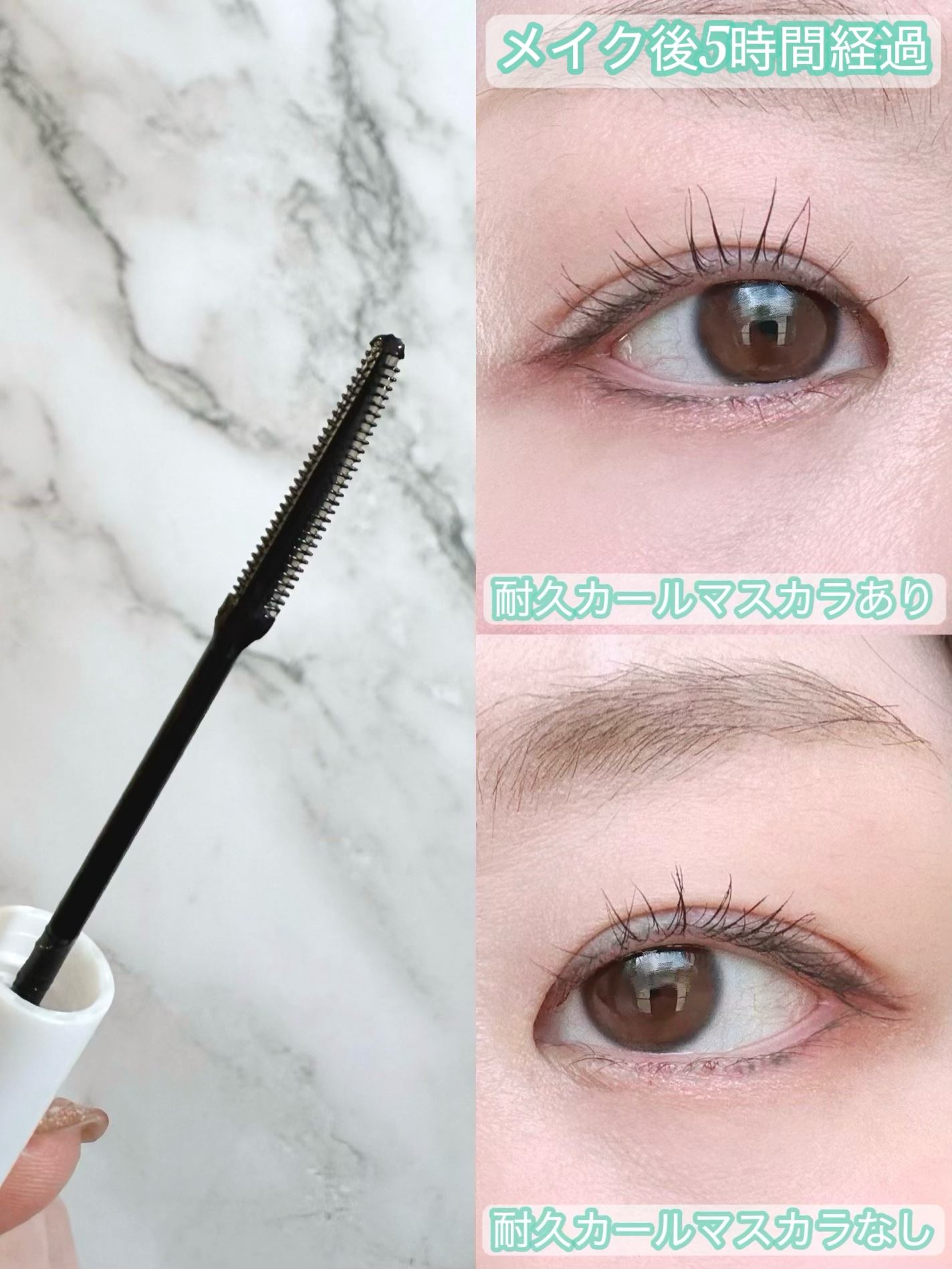 耐久カールマスカラ/CEZANNE/マスカラを使ったクチコミ（2枚目）