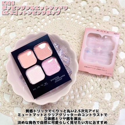 ケイト ポッピングシルエットシャドウ/KATE/アイシャドウパレットを使ったクチコミ(2枚目)