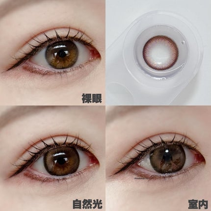 Eclat Brown/Mifée/ワンデー(1DAY)カラコンを使ったクチコミ(5枚目)