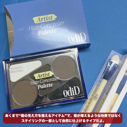 アーティストライン ヘアコンシーラーパレット/odiD/その他スタイリングを使ったクチコミ(5枚目)