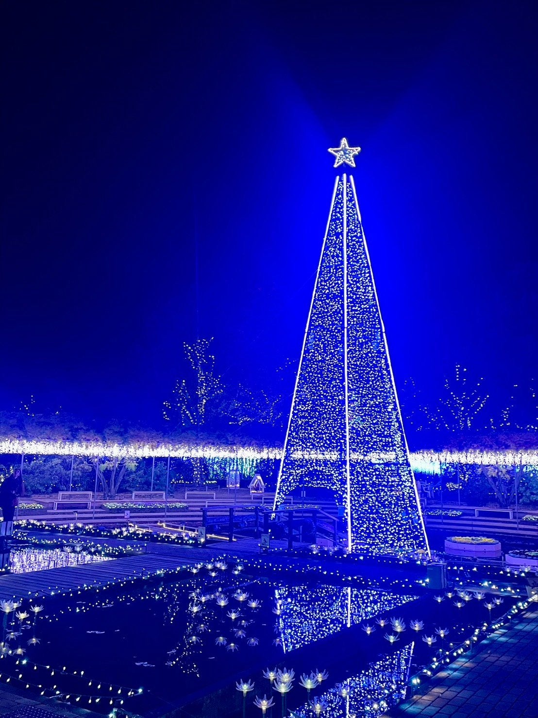 ピー on LIPS 「#栃木県✼••┈┈••✼••┈┈••✼••┈┈••✼••#あし..」(1枚目)