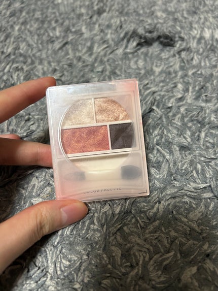 カラーパレット/パラドゥ/マルチパレットを使ったクチコミ(3枚目)