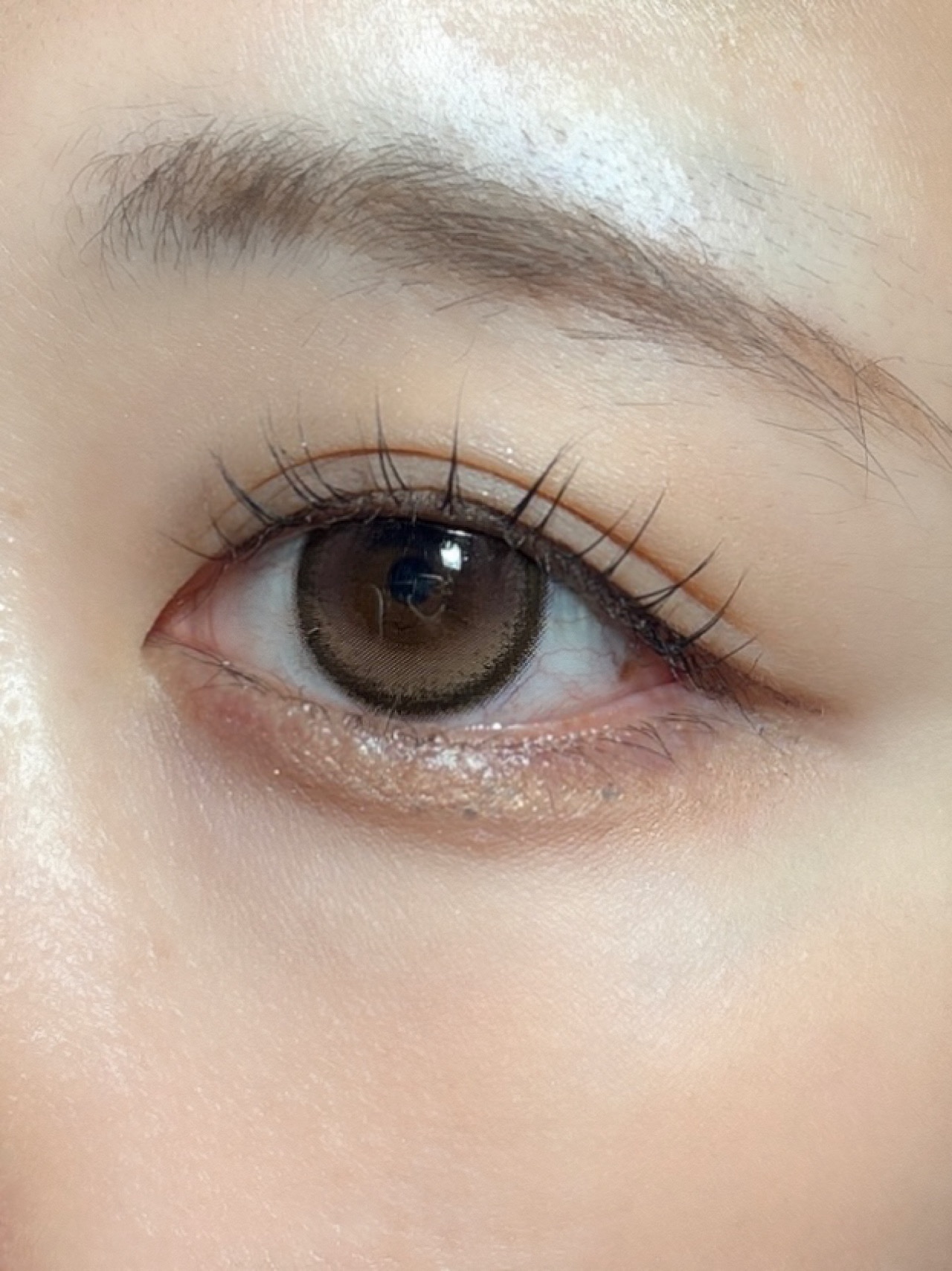 Mifée 1day/Mifée/ワンデー（１DAY）カラコンを使ったクチコミ（3枚目）