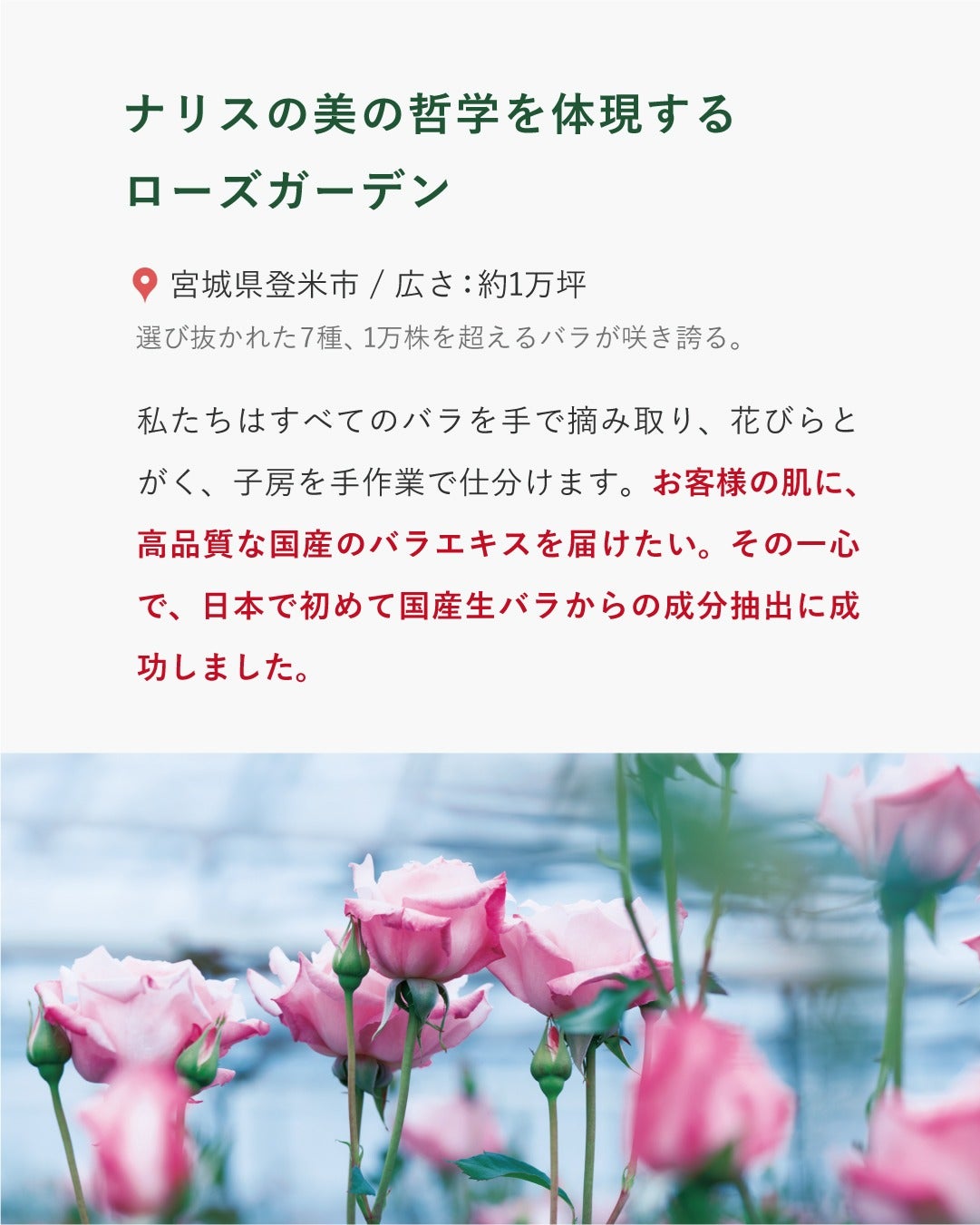 ナリス化粧品公式アカウント on LIPS 「ナリスの美の哲学を体現する、ローズガーデン。自然豊かな宮城県登..」(2枚目)