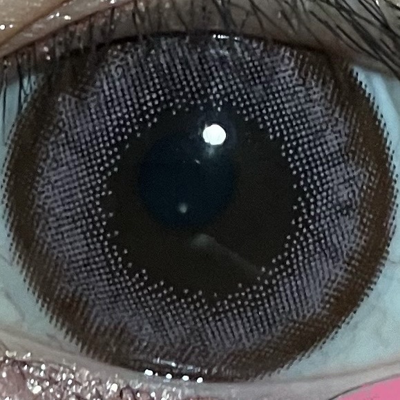 Angelcolor Bambi Series 1day  クリームピンク/AngelColor/ワンデー（１DAY）カラコンを使ったクチコミ（1枚目）