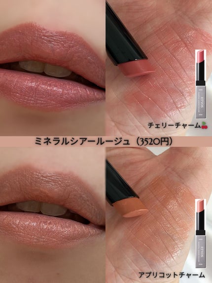 ミネラルクラッシィシャドー/エトヴォス/アイシャドウパレットを使ったクチコミ(5枚目)