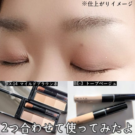 ケイト デザイニングアイブロウ3D/KATE/パウダーアイブロウを使ったクチコミ(6枚目)