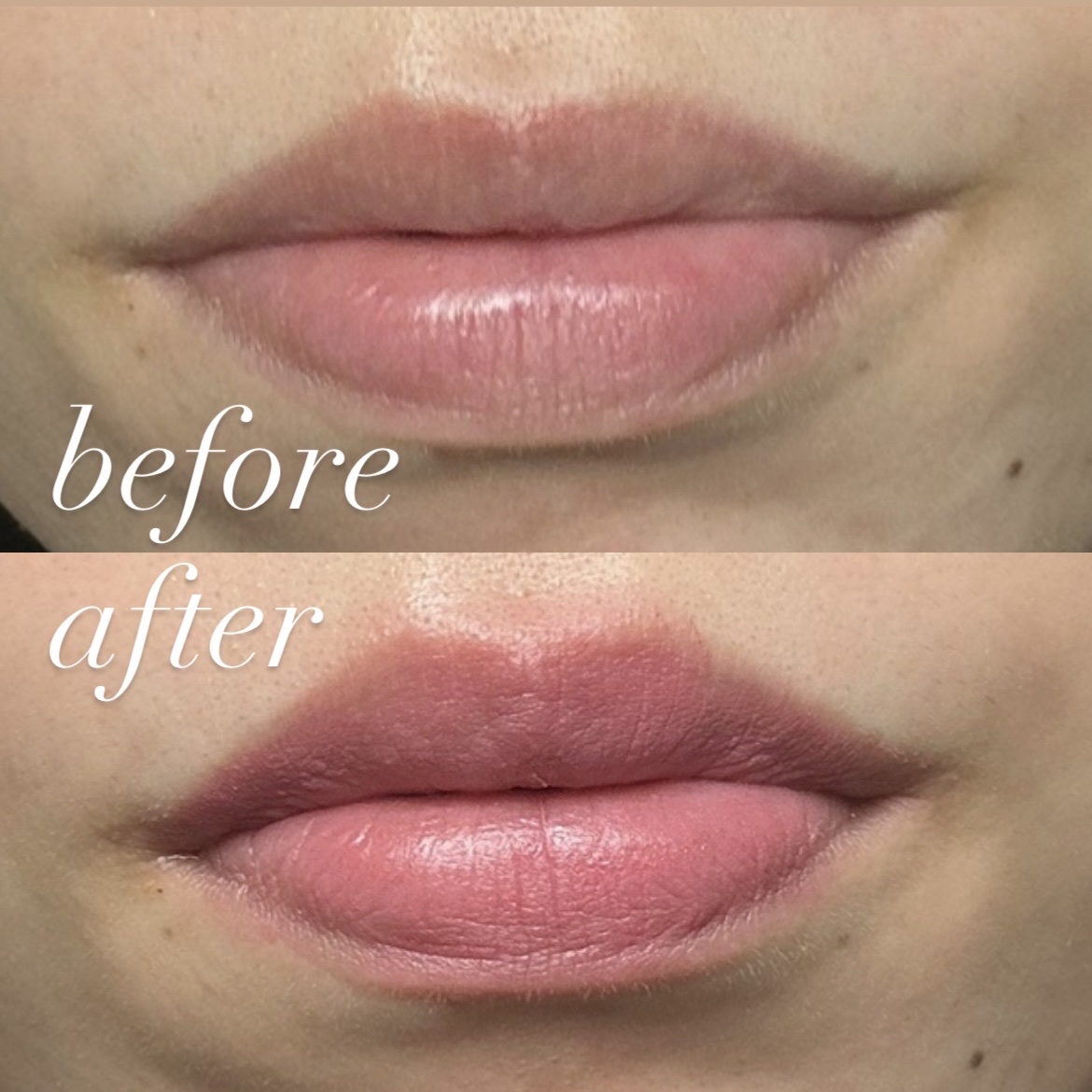 マットジュエルリップコレクション/Armuje/口紅を使ったクチコミ（2枚目）