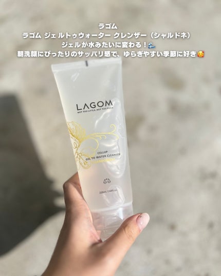 ラゴム ジェルトゥウォーター クレンザー(朝用洗顔)/LAGOM /その他洗顔料を使ったクチコミ(6枚目)