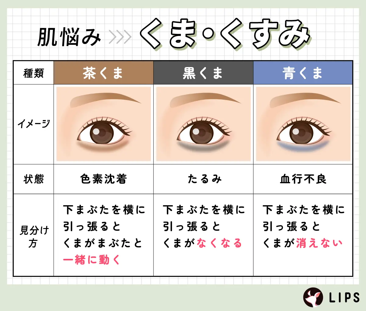 くまの見分け方