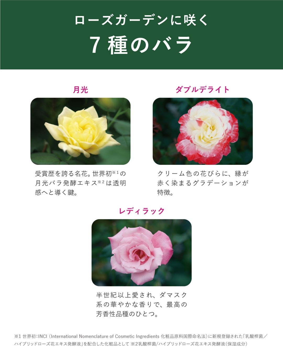 ナリス化粧品公式アカウント on LIPS 「ナリスの美の哲学を体現する、ローズガーデン。自然豊かな宮城県登..」(5枚目)