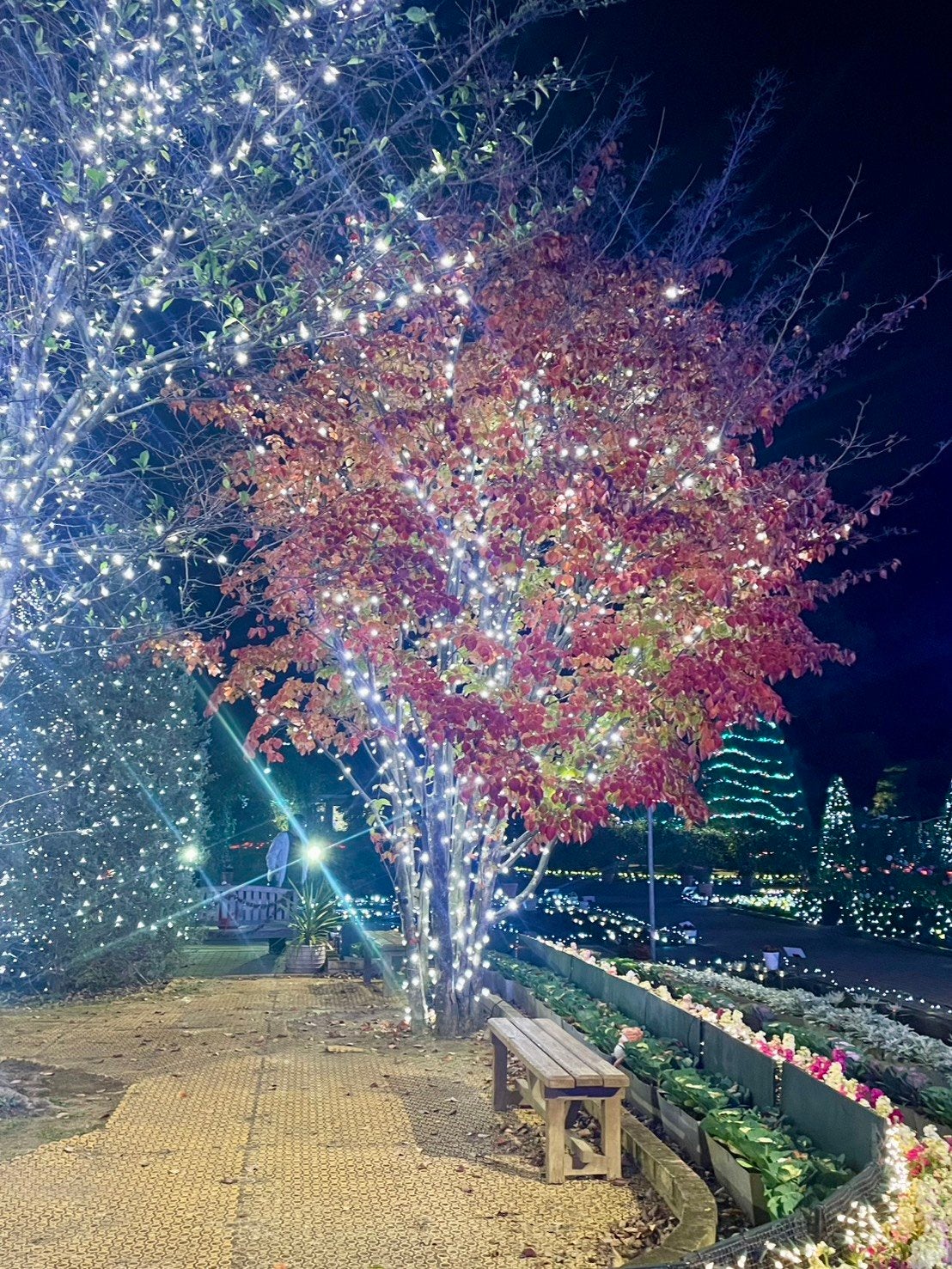 ピー on LIPS 「#栃木県✼••┈┈••✼••┈┈••✼••┈┈••✼••#あし..」(3枚目)