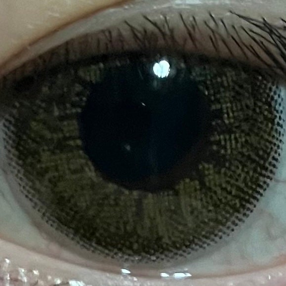 Angelcolor Bambi Series Vintage 1day/AngelColor/ワンデー(1DAY)カラコンを使ったクチコミ(1枚目)