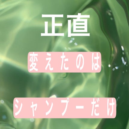 クレンジングシャンプー/ナノサプリ/市販シャンプーを使ったクチコミ(4枚目)