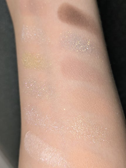 エクスプローラ12色 動物アイシャドウパレット パンダ/PERFECT DIARY/アイシャドウパレットの画像