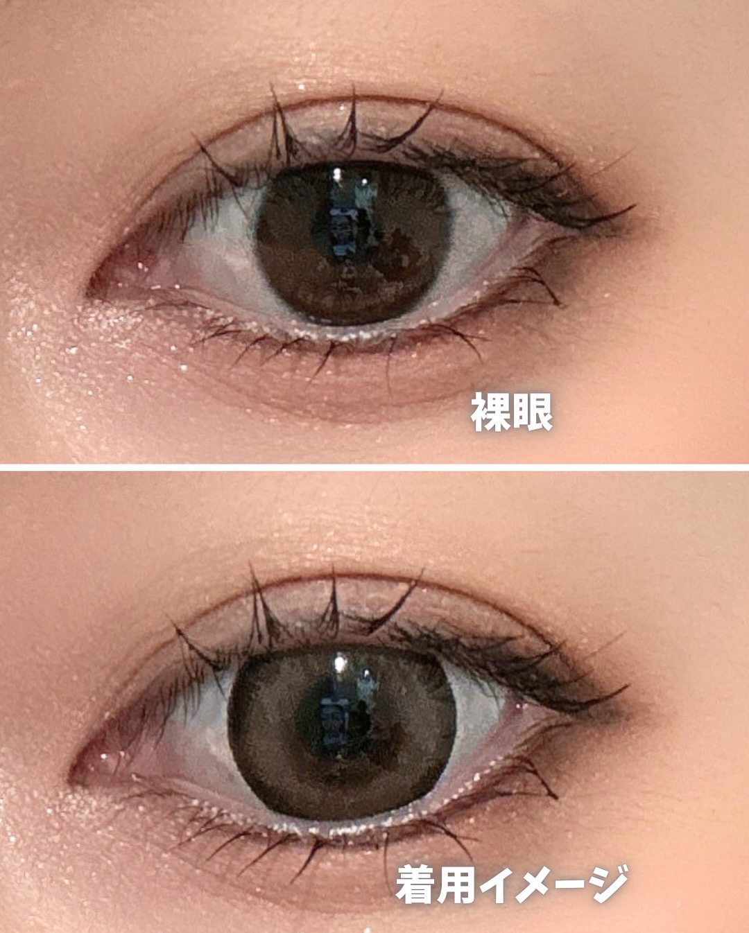 Dokkin Greige HOSO/FAIRY LABO/ワンデー（１DAY）カラコンを使ったクチコミ（2枚目）