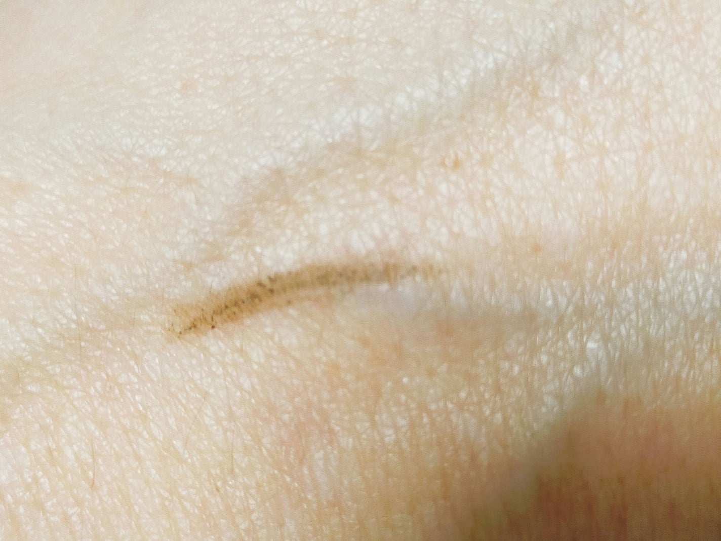 アイブロウペンシルZ/KATE/アイブロウペンシルを使ったクチコミ(4枚目)