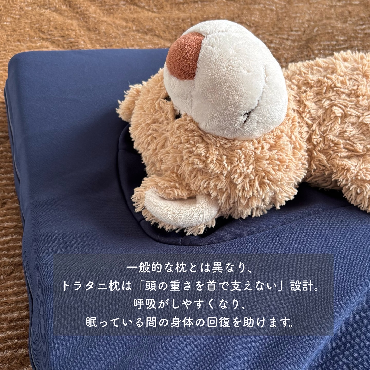 トラタニ好循環枕/トラタニ/その他を使ったクチコミ（2枚目）