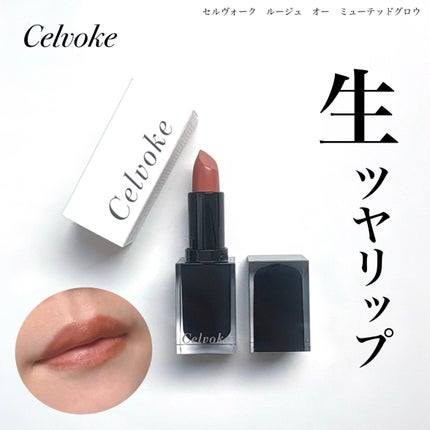 セルヴォーク ルージュ オー ミューテッドグロウ/Celvoke/口紅を使ったクチコミ(1枚目)