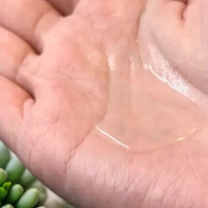 バランシングGAローション/TOUT VERT/化粧水を使ったクチコミ（2枚目）