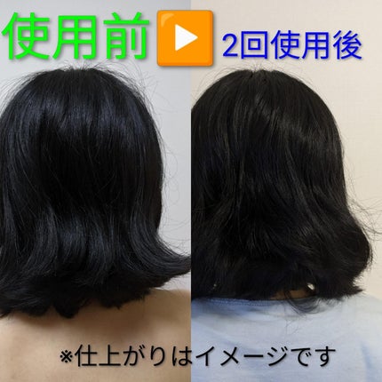 Seika 全 シャンプー/王子製薬/市販シャンプーを使ったクチコミ(2枚目)