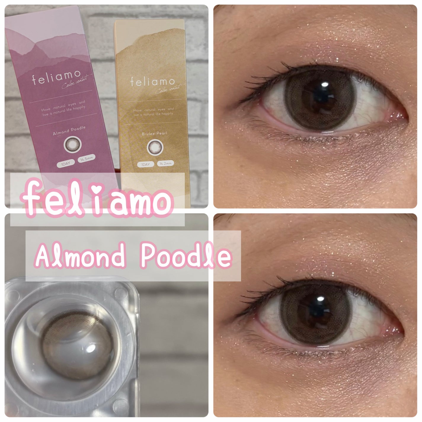 feliamo 1day/feliamo/ワンデー(1DAY)カラコンを使ったクチコミ(1枚目)