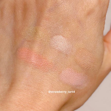 コンシールブレンダーパレット/LUNA/パレットコンシーラーを使ったクチコミ(6枚目)