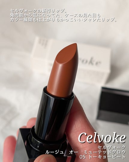 セルヴォーク ルージュ オー ミューテッドグロウ/Celvoke/口紅を使ったクチコミ(2枚目)