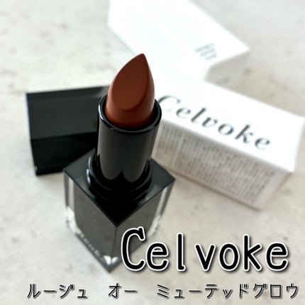 セルヴォーク ルージュ オー ミューテッドグロウ/Celvoke/口紅を使ったクチコミ(1枚目)