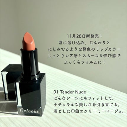 セルヴォーク ルージュ オー ミューテッドグロウ/Celvoke/口紅を使ったクチコミ(2枚目)