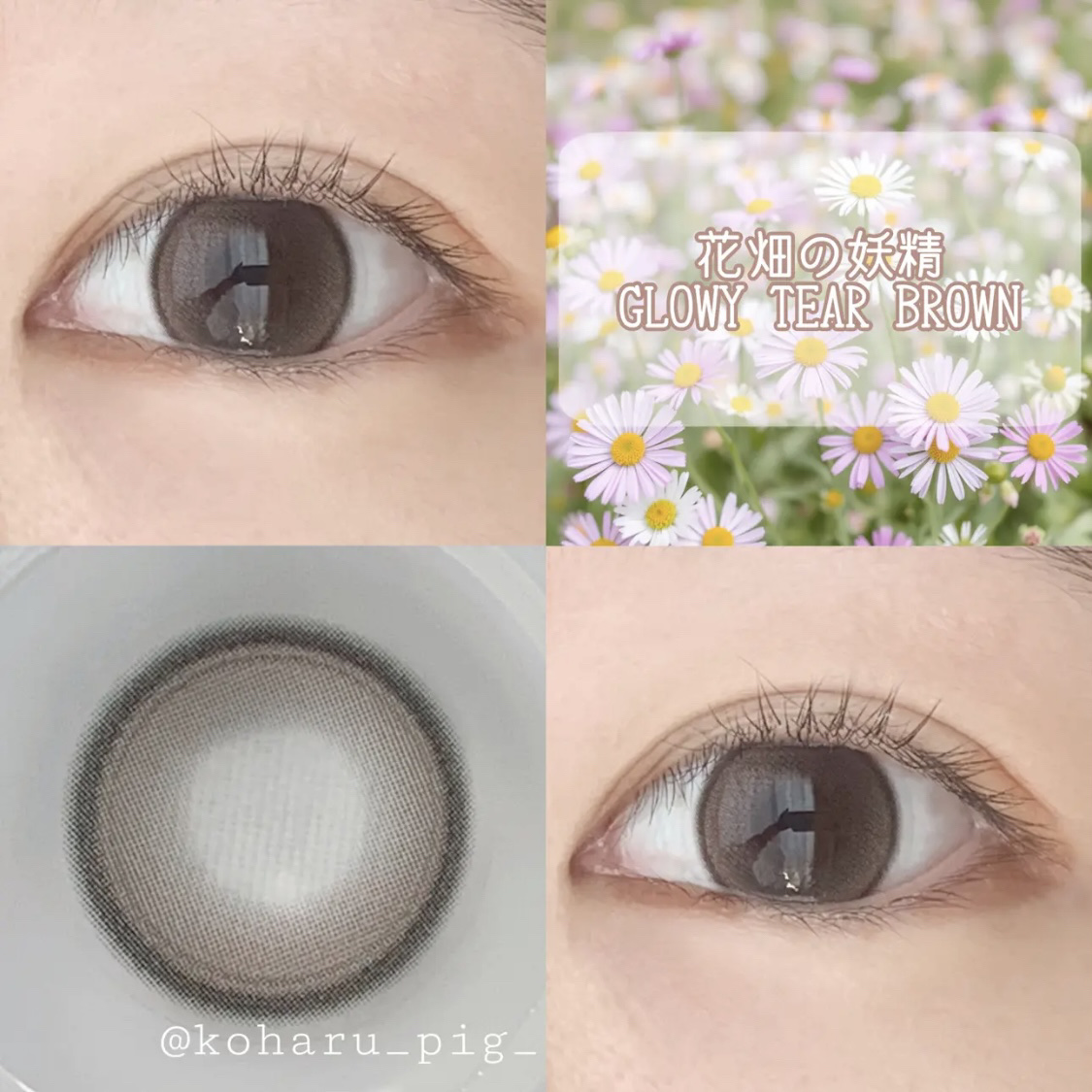 Glowy Tear 1day/OLENS/ワンデー（１DAY）カラコンを使ったクチコミ（1枚目）