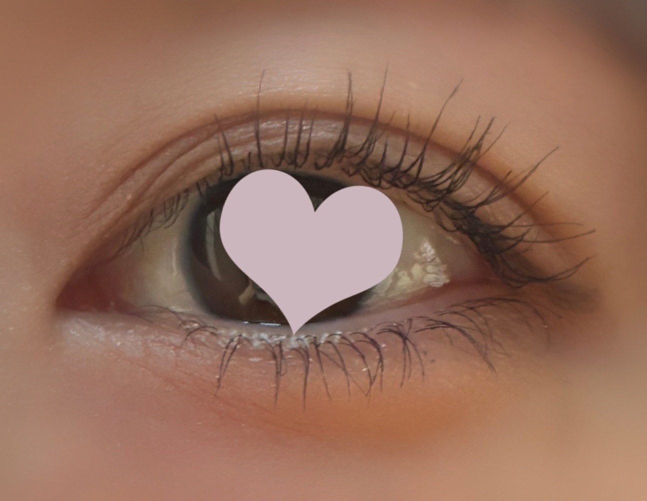 大事な予定があったのでSUQQUの優芍薬を使いました🫶優しくて可愛い印象になるのでまつ毛はしっかりと！！