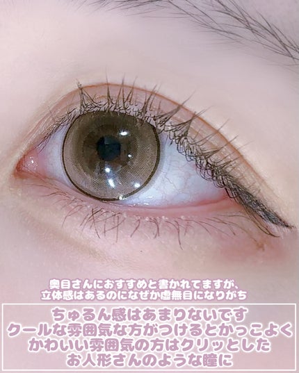 eye closet 1DAY/EYE CLOSET/ワンデー(1DAY)カラコンを使ったクチコミ(5枚目)