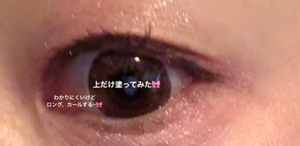 ã¹ãã«ã¬ã¹ã¢ã€ã©ãã·ã¥/LUMIURGLAS/ãã¹ã«ã©ã䜿ã£ãã¯ãã³ãïŒ6æç®ïŒ