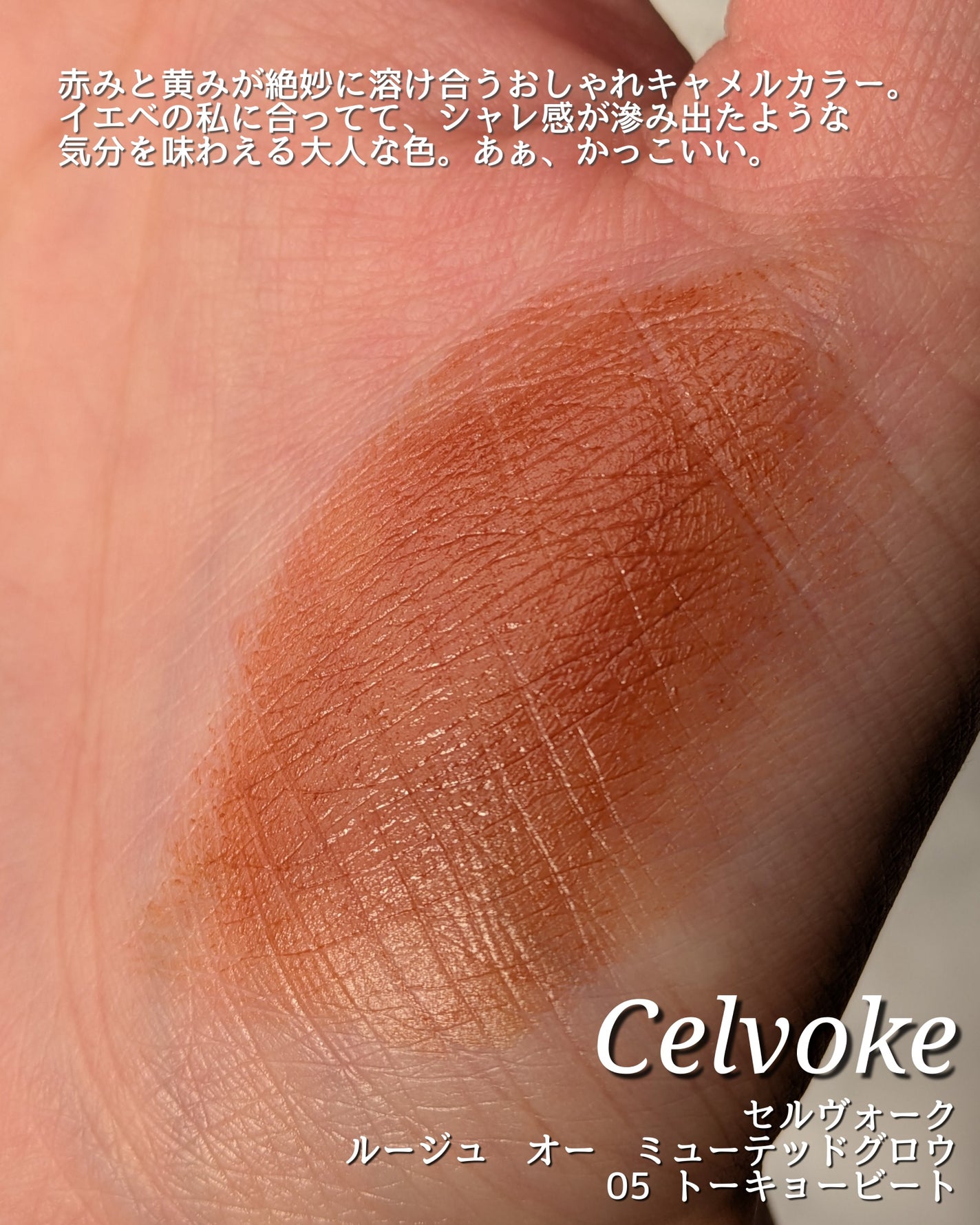 セルヴォーク ルージュ オー ミューテッドグロウ/Celvoke/口紅を使ったクチコミ(3枚目)