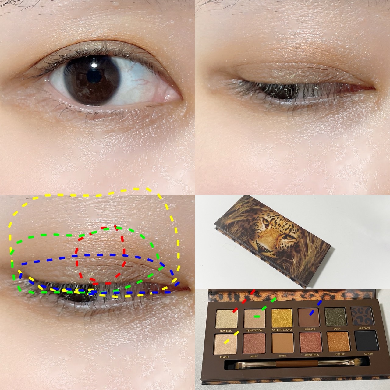 エクスプローラ12色 動物アイシャドウパレット 豹 / PERFECT DIARY