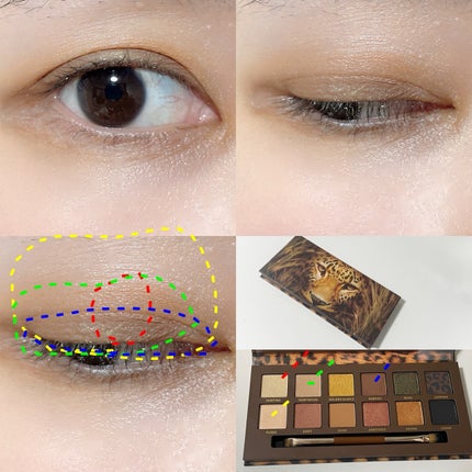 エクスプローラ12色 動物アイシャドウパレット/PERFECT DIARY/アイシャドウパレットを使ったクチコミ(5枚目)