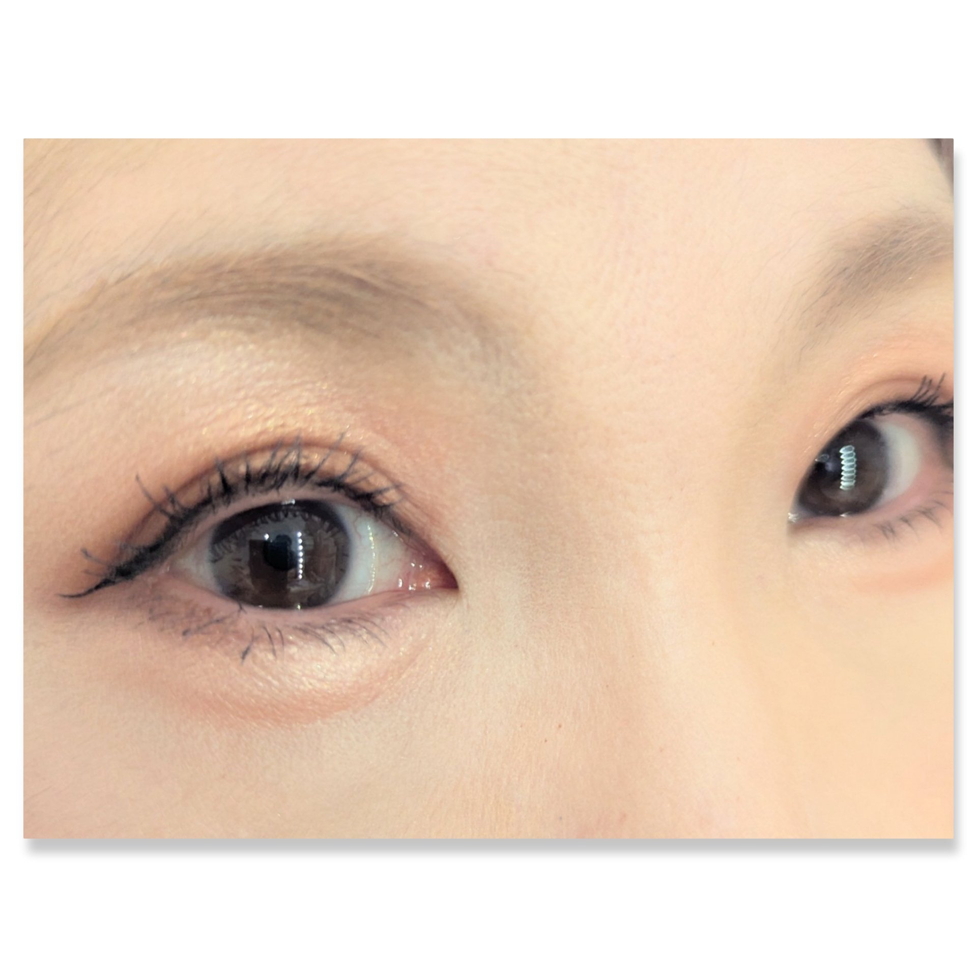 ザ スキン アイシャドウ パレット/perse/アイシャドウパレットを使ったクチコミ（2枚目）