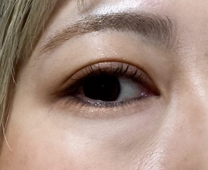 ブラーフィニシュシャドウパレット/Dinto/アイシャドウパレットを使ったクチコミ(6枚目)