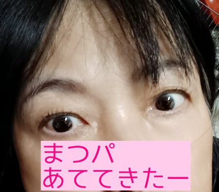 スリーインワンアイラッシュセラム/DHC/まつげ美容液を使ったクチコミ(1枚目)