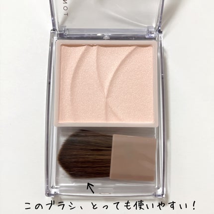 トーンフィルターハイライト/CEZANNE/パウダーハイライトを使ったクチコミ(2枚目)