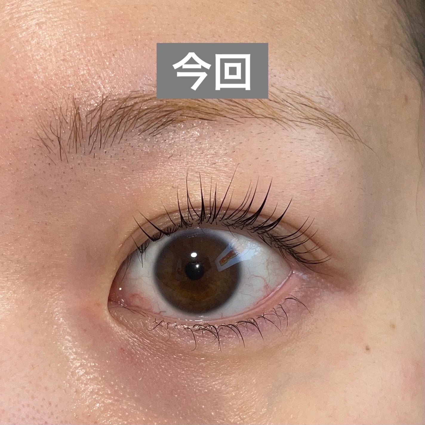 イージーブロウトーンチェンジャー/COSNORI/その他アイブロウを使ったクチコミ(7枚目)