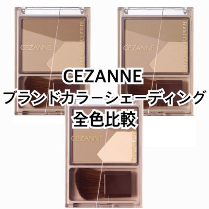 ブレンドカラーシェーディング/CEZANNE/シェーディングを使ったクチコミ(1枚目)