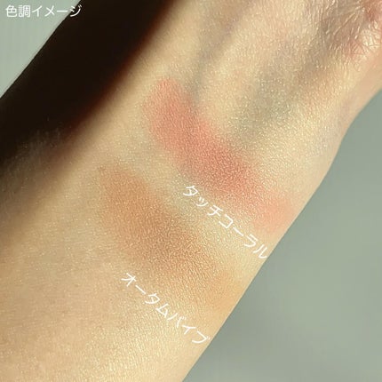 スライドアップドウチーク/ENTROPY/ジェル・クリームチークを使ったクチコミ(5枚目)