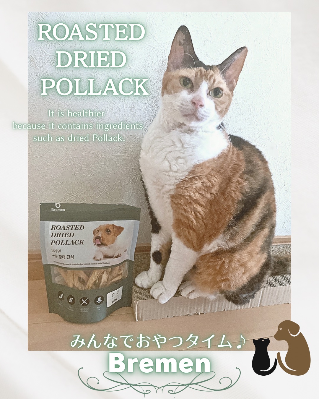 焼きスケトウダラおやつ/Bremen/その他食品を使ったクチコミ（1枚目）